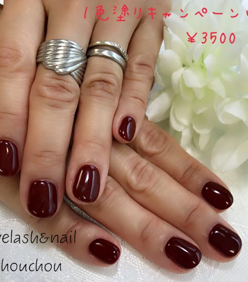 １色塗りキャンペーン💕